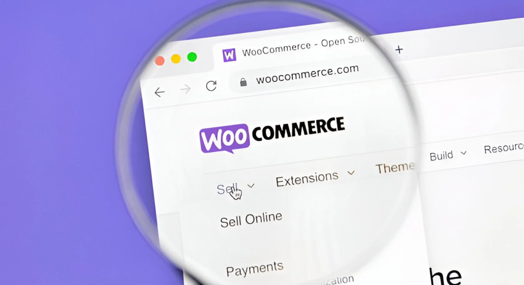 woocommerce-development